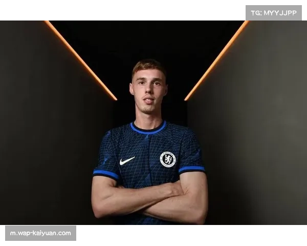 英超微小接触判罚引争议,比赛结果与判罚趋势的深远影响 英超微小接触判罚引争议,比赛结果与判罚趋势的深远影响