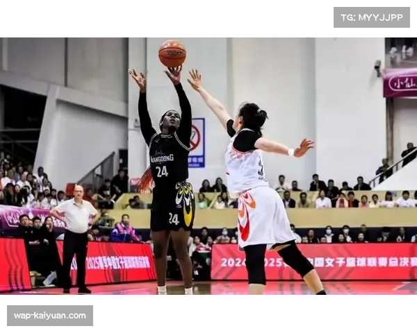 WCBA战术体系趋向多元化 各队风格鲜明特点突出